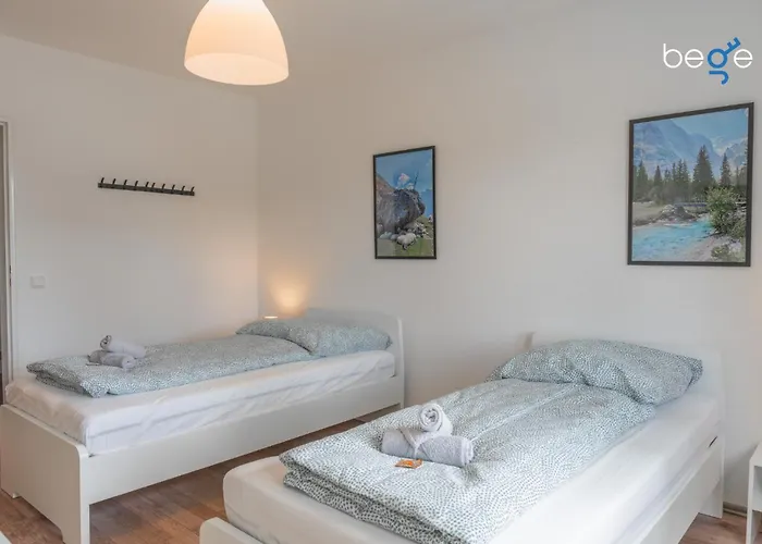 Bege Corporate Daire